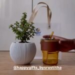 Eco Friendly Gift Hamper Image-3
